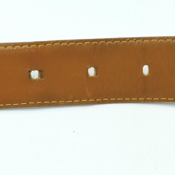 Louis Vuitton 110/44 Brown x Gold Epi Leather Cein main image 12